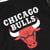 NBA Team Logo Chicago Bulls Varsity Jacket